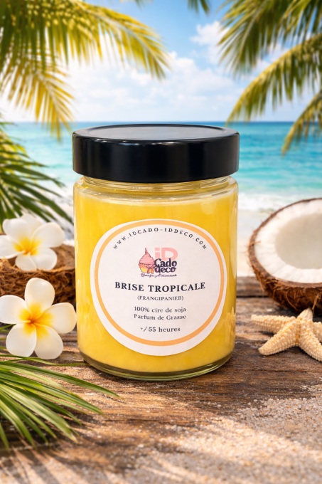 Bougie bonbonnière parfum Brise Tropicale